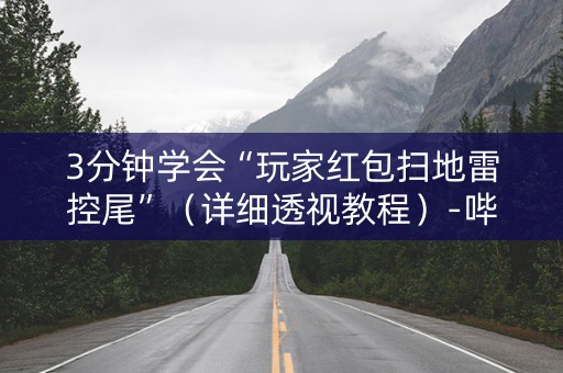 3分钟学会“玩家红包扫地雷控尾”（详细透视教程）-哔哩哔哩