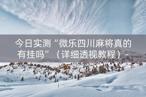 今日实测“微乐四川麻将真的有挂吗”（详细透视教程）-哔哩哔哩