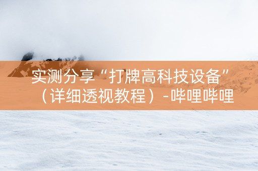 实测分享“打牌高科技设备”（详细透视教程）-哔哩哔哩