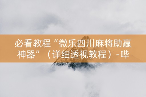 必看教程“微乐四川麻将助赢神器”（详细透视教程）-哔哩哔哩