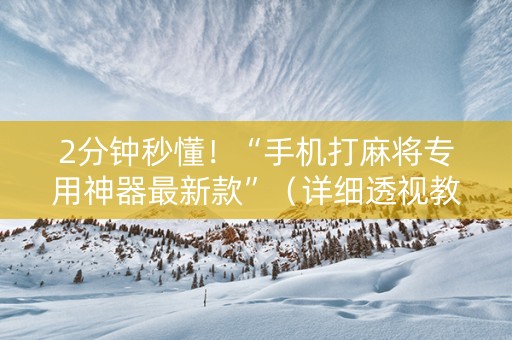 2分钟秒懂！“手机打麻将专用神器最新款”（详细透视教程）-哔哩哔哩
