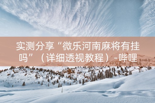 实测分享“微乐河南麻将有挂吗”（详细透视教程）-哔哩哔哩