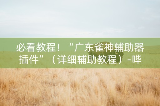 必看教程！“广东雀神辅助器插件”（详细辅助教程）-哔哩哔哩