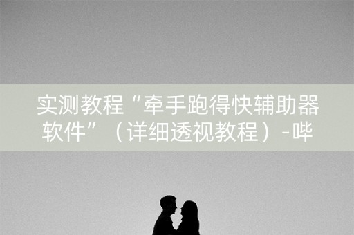 实测教程“牵手跑得快辅助器软件”（详细透视教程）-哔哩哔哩