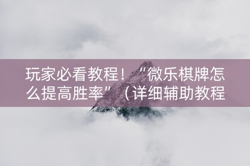 玩家必看教程！“微乐棋牌怎么提高胜率”（详细辅助教程）-哔哩哔哩