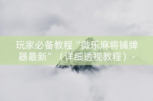 玩家必备教程“微乐麻将铺牌器最新”（详细透视教程）-哔哩哔哩
