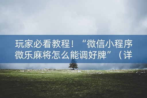 玩家必看教程！“微信小程序微乐麻将怎么能调好牌”（详细辅助教程）-哔哩哔哩