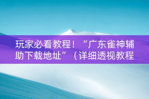 玩家必看教程！“广东雀神辅助下载地址”（详细透视教程）-哔哩哔哩