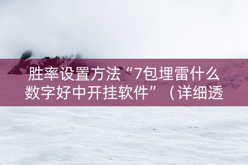 胜率设置方法“7包埋雷什么数字好中开挂软件”（详细透视教程）-哔哩哔哩