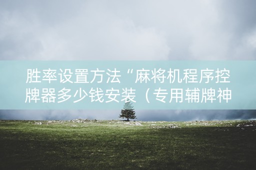 胜率设置方法“麻将机程序控牌器多少钱安装（专用辅牌神器免安装）