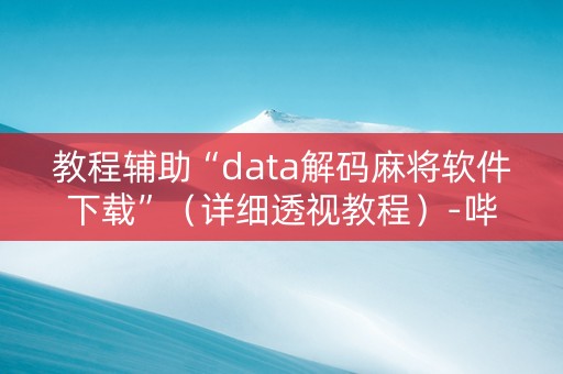 教程辅助“data解码麻将软件下载”（详细透视教程）-哔哩哔哩