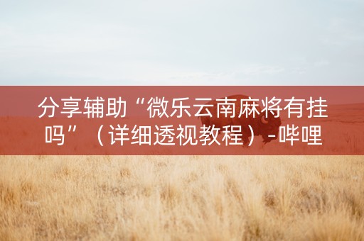 分享辅助“微乐云南麻将有挂吗”（详细透视教程）-哔哩哔哩
