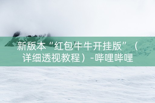 新版本“红包牛牛开挂版”（详细透视教程）-哔哩哔哩