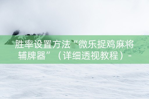 胜率设置方法“微乐捉鸡麻将辅牌器”（详细透视教程）-哔哩哔哩