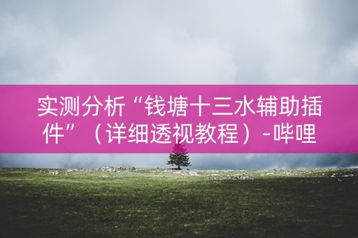 实测分析“钱塘十三水辅助插件”（详细透视教程）-哔哩哔哩