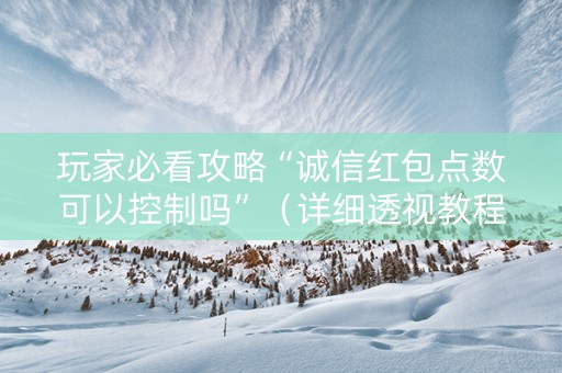 玩家必看攻略“诚信红包点数可以控制吗”（详细透视教程）-哔哩哔哩