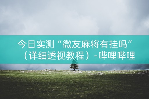 今日实测“微友麻将有挂吗”（详细透视教程）-哔哩哔哩