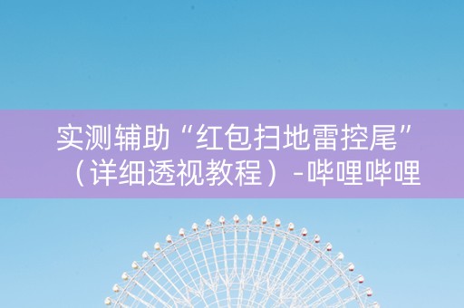 实测辅助“红包扫地雷控尾”（详细透视教程）-哔哩哔哩