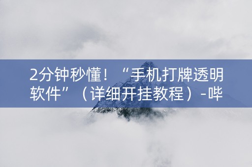 2分钟秒懂！“手机打牌透明软件”（详细开挂教程）-哔哩哔哩