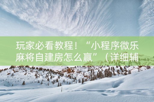 玩家必看教程！“小程序微乐麻将自建房怎么赢”（详细辅助教程）-哔哩哔哩
