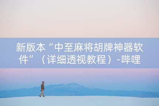 新版本“中至麻将胡牌神器软件”（详细透视教程）-哔哩哔哩