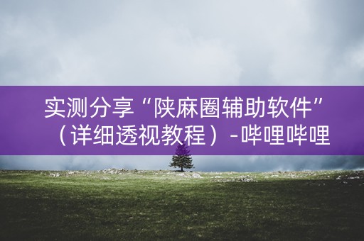 实测分享“陕麻圈辅助软件”（详细透视教程）-哔哩哔哩
