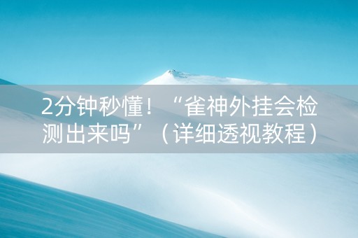 2分钟秒懂！“雀神外挂会检测出来吗”（详细透视教程）-哔哩哔哩