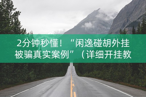 2分钟秒懂！“闲逸碰胡外挂被骗真实案例”（详细开挂教程）-哔哩哔哩