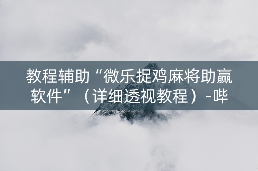 教程辅助“微乐捉鸡麻将助赢软件”（详细透视教程）-哔哩哔哩