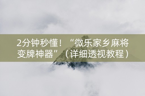 2分钟秒懂！“微乐家乡麻将变牌神器”（详细透视教程）-哔哩哔哩
