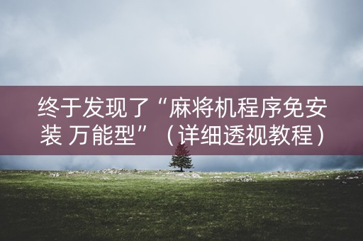 终于发现了“麻将机程序免安装 万能型”（详细透视教程）-哔哩哔哩