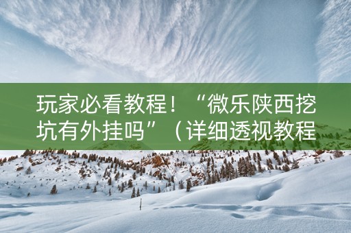 玩家必看教程！“微乐陕西挖坑有外挂吗”（详细透视教程）-哔哩哔哩