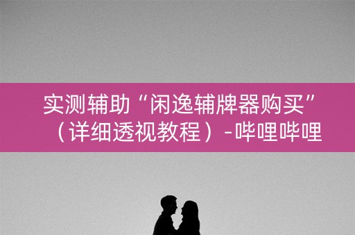 实测辅助“闲逸辅牌器购买”（详细透视教程）-哔哩哔哩