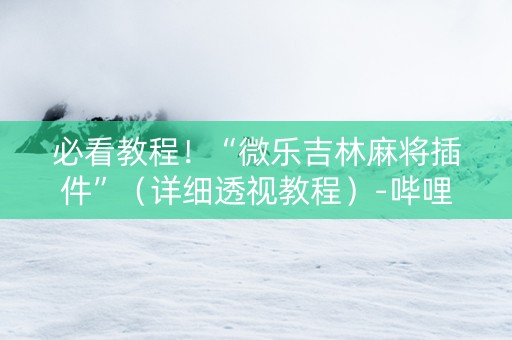 必看教程！“微乐吉林麻将插件”（详细透视教程）-哔哩哔哩