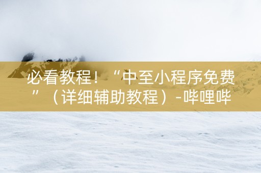 必看教程！“中至小程序免费”（详细辅助教程）-哔哩哔哩