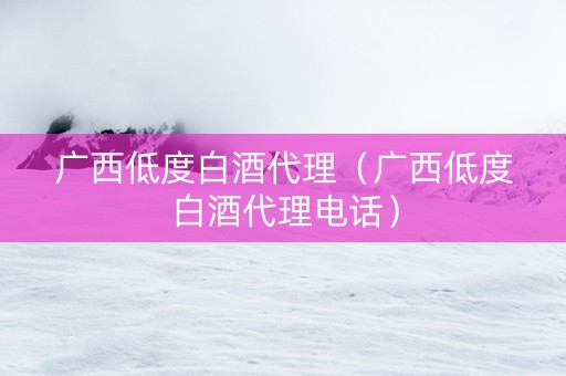 广西低度白酒代理（广西低度白酒代理电话）