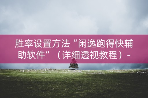 胜率设置方法“闲逸跑得快辅助软件”（详细透视教程）-哔哩哔哩