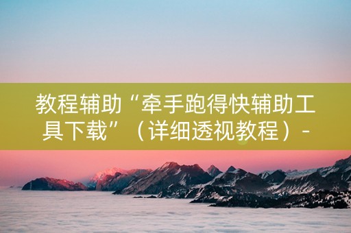 教程辅助“牵手跑得快辅助工具下载”（详细透视教程）-哔哩哔哩