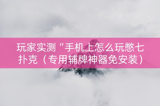 玩家实测“手机上怎么玩憋七扑克（专用辅牌神器免安装）
