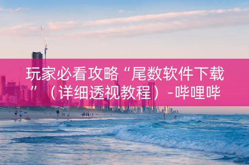 玩家必看攻略“尾数软件下载”（详细透视教程）-哔哩哔哩