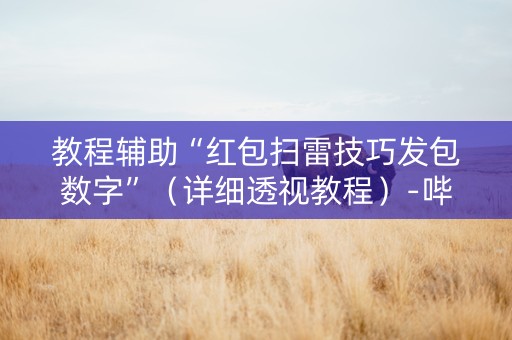 教程辅助“红包扫雷技巧发包数字”（详细透视教程）-哔哩哔哩