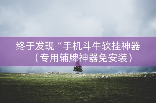 终于发现“手机斗牛软挂神器（专用辅牌神器免安装）