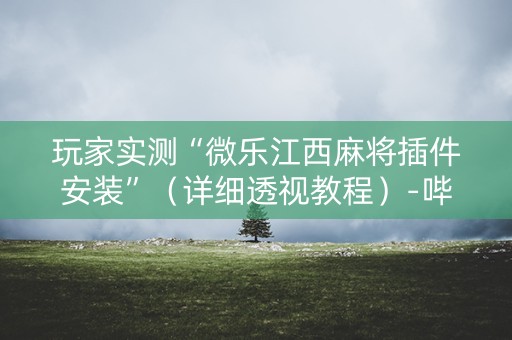 玩家实测“微乐江西麻将插件安装”（详细透视教程）-哔哩哔哩