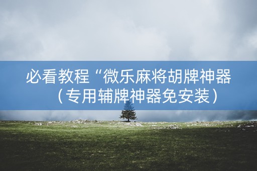 必看教程“微乐麻将胡牌神器（专用辅牌神器免安装）