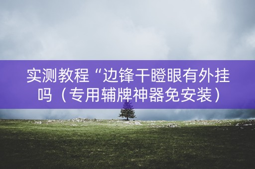 实测教程“边锋干瞪眼有外挂吗（专用辅牌神器免安装）