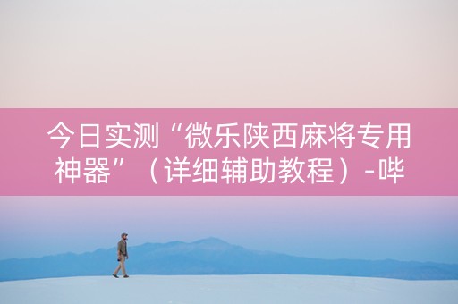 今日实测“微乐陕西麻将专用神器”（详细辅助教程）-哔哩哔哩