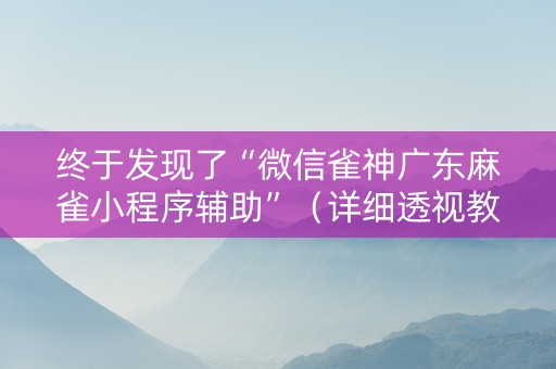 终于发现了“微信雀神广东麻雀小程序辅助”（详细透视教程）-哔哩哔哩
