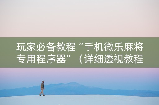玩家必备教程“手机微乐麻将专用程序器”（详细透视教程）-哔哩哔哩