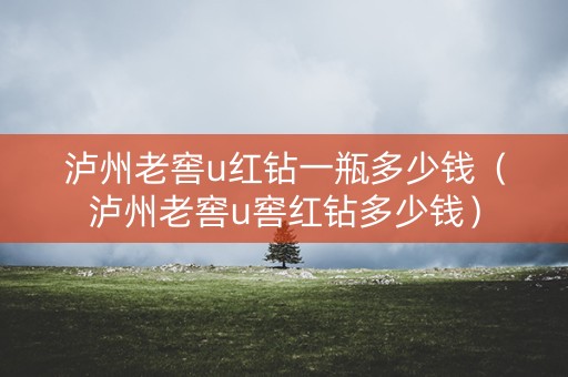 泸州老窖u红钻一瓶多少钱（泸州老窖u窖红钻多少钱）