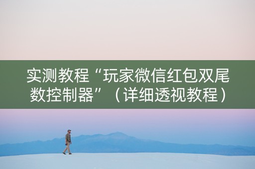 实测教程“玩家微信红包双尾数控制器”（详细透视教程）-哔哩哔哩